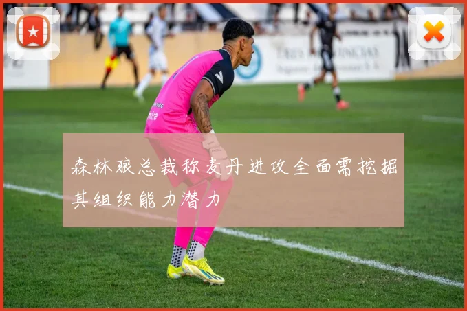 森林狼总裁称麦丹进攻全面需挖掘其组织能力潜力