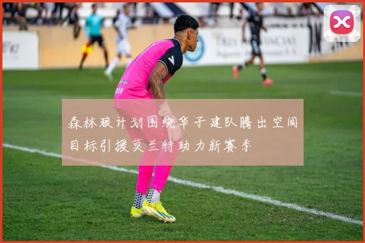 森林狼计划围绕华子建队腾出空间目标引援莫兰特助力新赛季